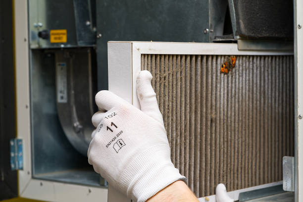 Best Air Duct Sanitizing Services  in Denmark, WI